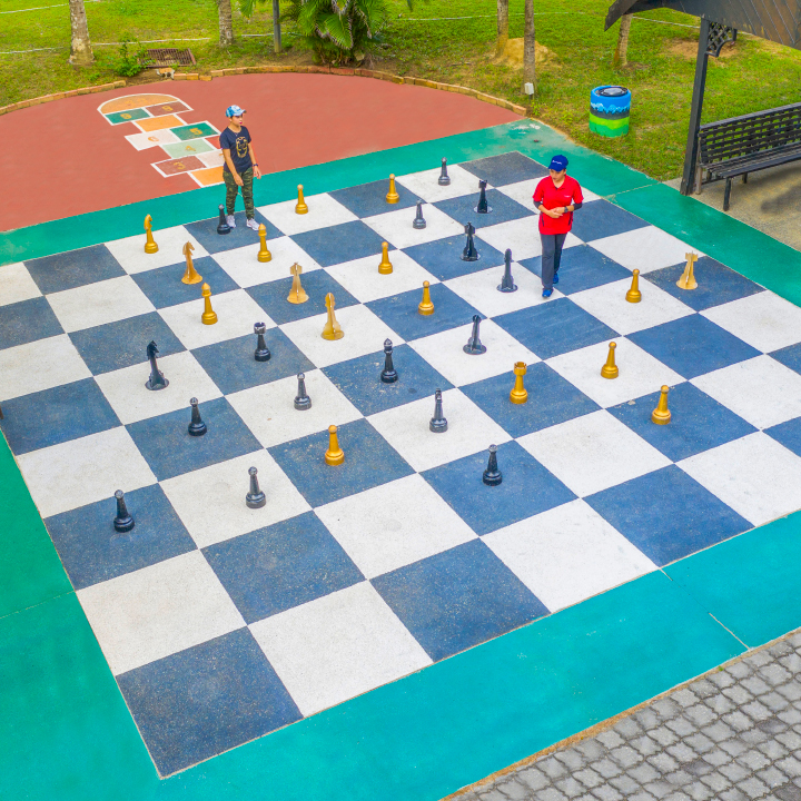 Large Outdoor Chess Game