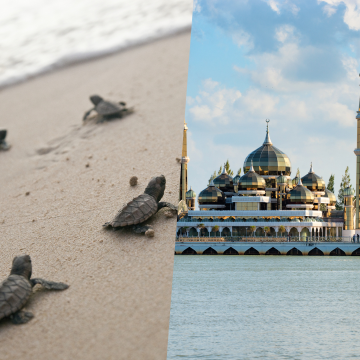 The Wonders of Kijal Tour Package